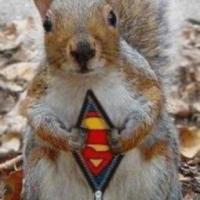 Profile image of SecretSquirrel78