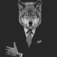 Profile image of TheSilverFox Profile image of The Silver Fox