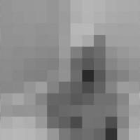 Profile image of Sunshinejoe Profile image of Sunshinejoe