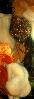 Profile image of happenstance