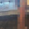 Profile image of will85242