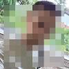 Profile image of Pixel_499